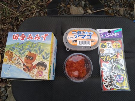 アマゴの味が忘れられず